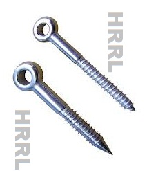 Stainless Steel Eyes Bolt Dealer